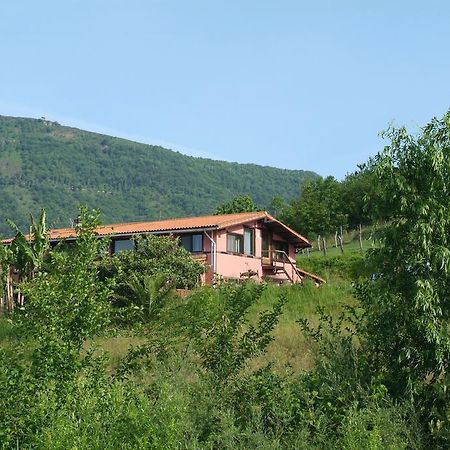 Paperkienea - Artandrelax Guest House Hondarribia Exterior photo